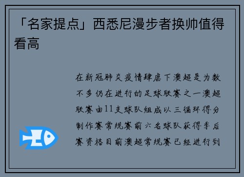 「名家提点」西悉尼漫步者换帅值得看高
